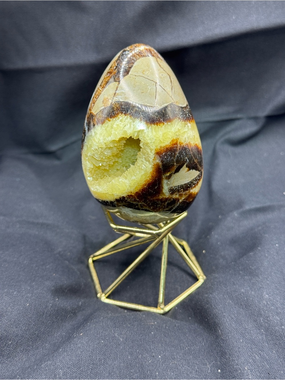 Septarian "Dragon Stone" Egg